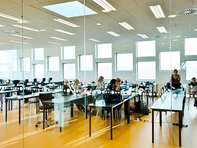 How to Settle Quickly in a New School