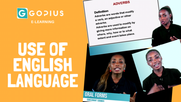 Use of English online course