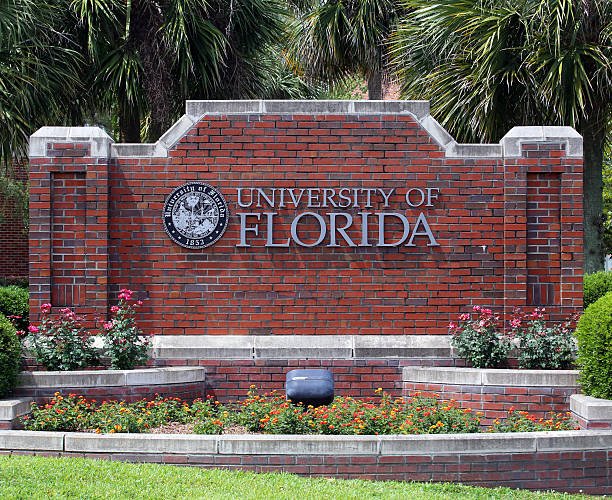 The University of Florida eLearning