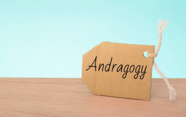 Andragogy Definition