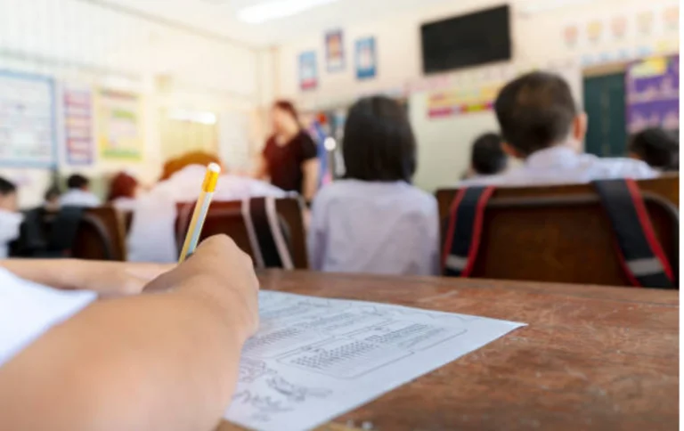 What is Substitute Teacher Certification