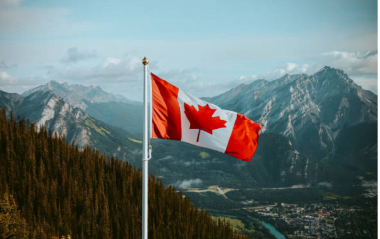 Canada's Finest: 10 Top SEO Companies You Need to Know