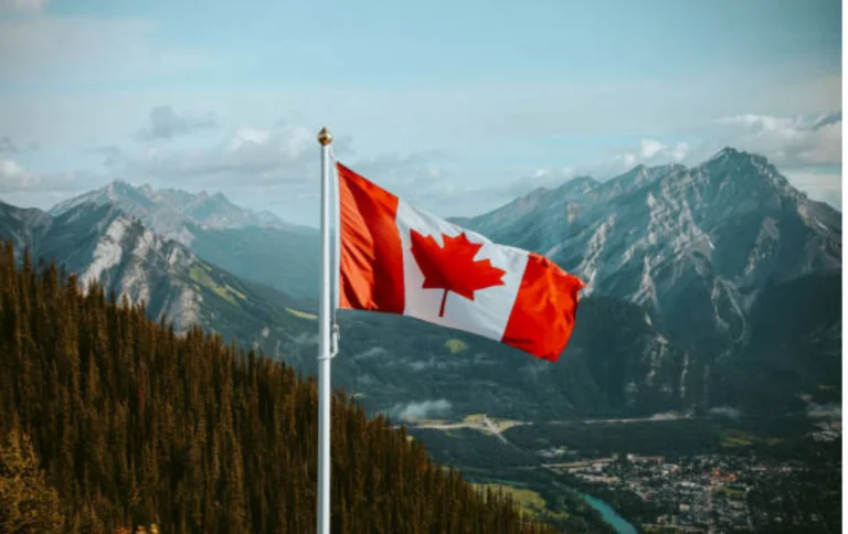 Canada's Finest: 10 Top SEO Companies You Need to Know