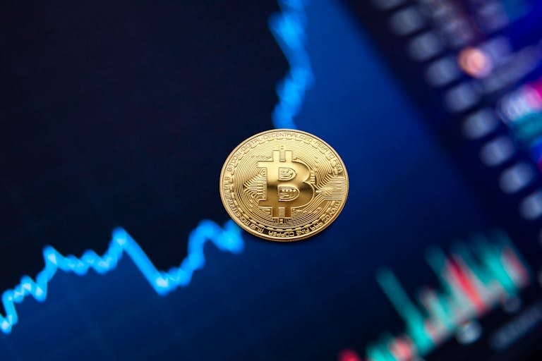 Crypto Investment Networks