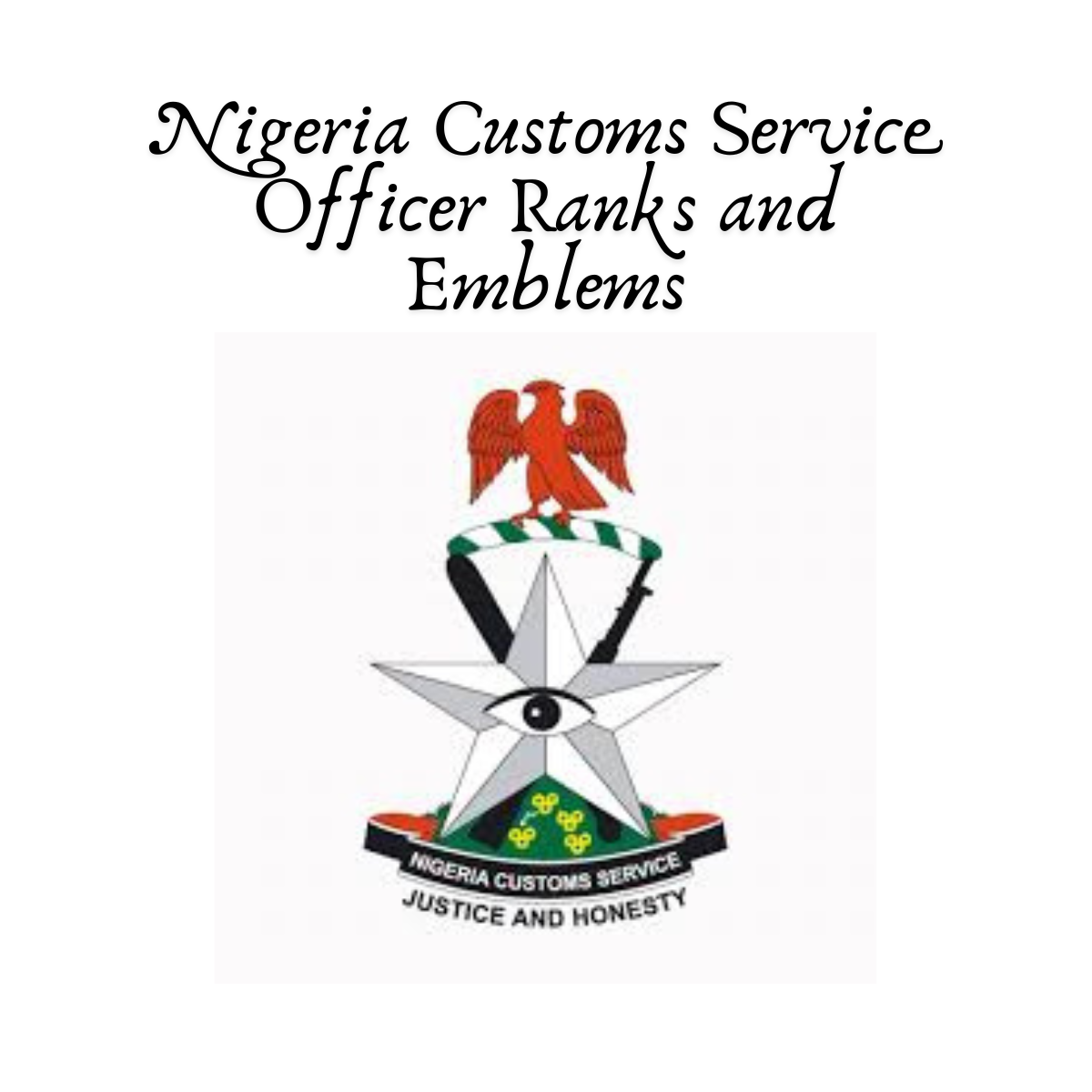 Nigeria Customs Service