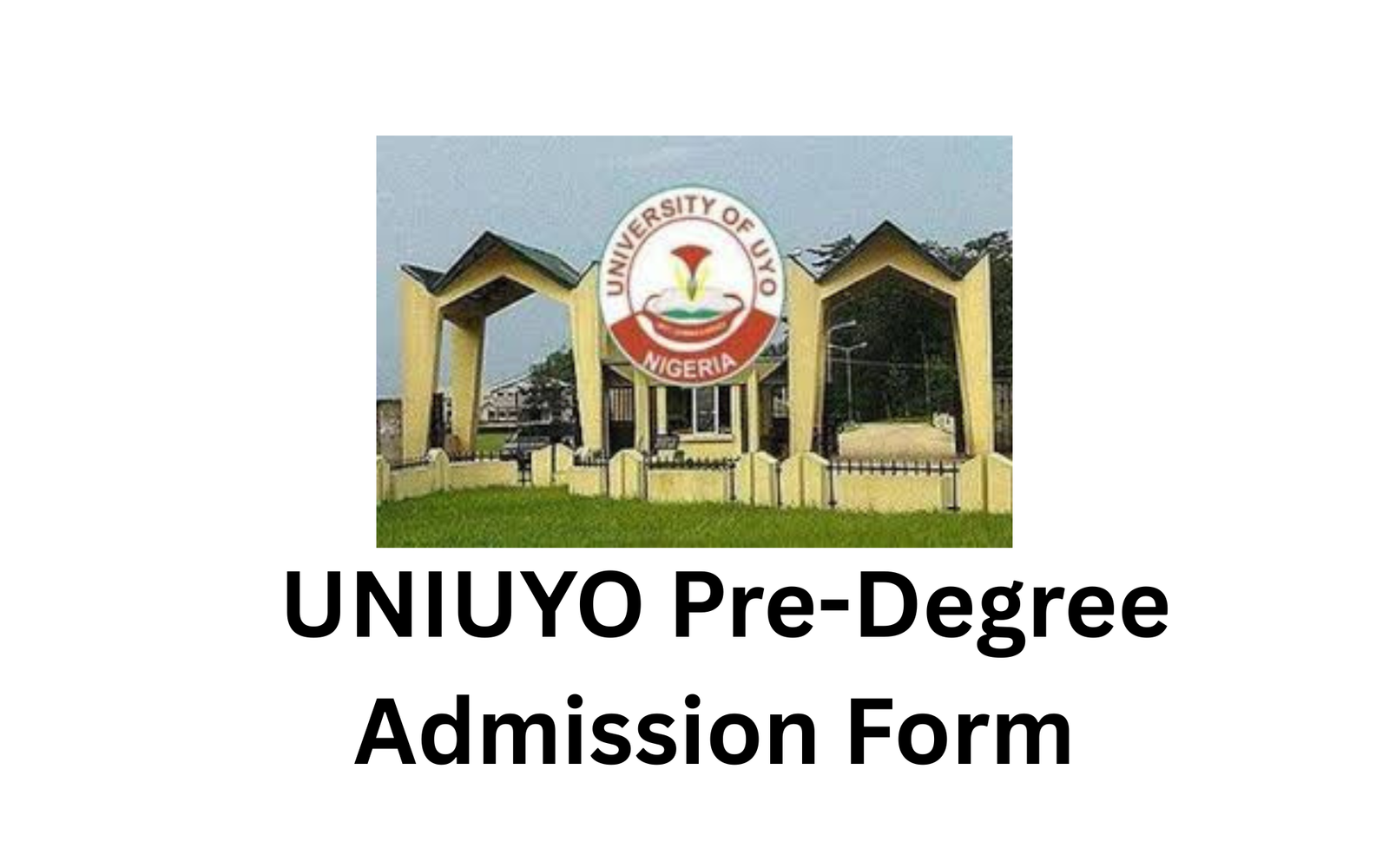 UNIUYO Pre-Degree Admission Form
