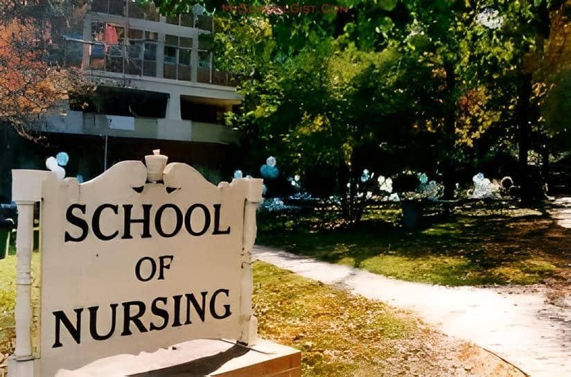 College of Nursing Sciences Maiduguri Admission Form 2026/2027 