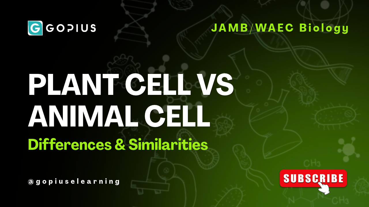 Plant Cell vs Animal Cell: Differences & Similarities Explained (JAMB/WAEC Biology)