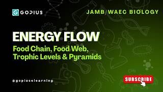 Energy Flow