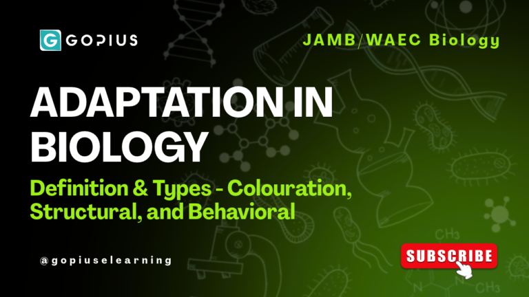 Adaptation in Biology Explained — Colouration, Structural & Behavioral Types (JAMB/WAEC)