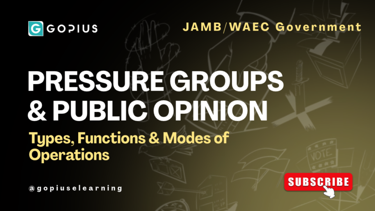 Pressure Groups Explained — Meaning, Types, Roles & Functions of Political Parties (JAMB/WAEC)